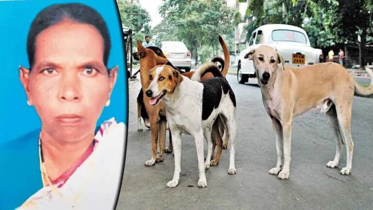 Dog Attack : నిద్రిస్తున్న వృద్ధురాలిపై కుక్కల దాడి.. చెల్లాచెదురుగా శరీర భాగాలు..