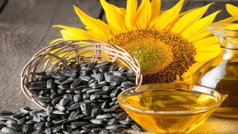 Sunflower Seeds : పొద్దుతిరుగుడు విత్తనాలు తింటే..  పుట్టెడు లాభాలు