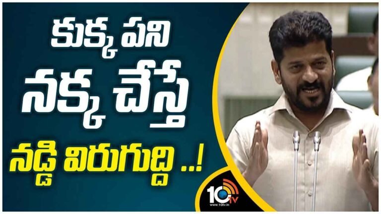 CM Revanth Fired on BRS MLAs ఓ అరడజను మంది సభ్యత్వం రద్దు చేస్తే బుద్ధి వస్తుంది- బీఆర్ఎస్ ఎమ్మెల్యేలపై సీఎం రేవంత్ ఫైర్