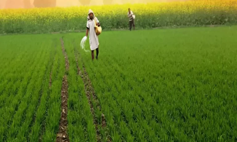 భవిష్యత్తు బంగారం! విల్లాలు కాదు, వ్యవసాయ భూమే మీ నిజమైన ఆస్తి – AI Impact on Jobs ఎఫెక్ట్!