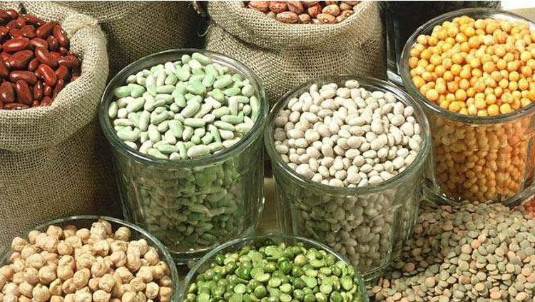 growth engines,andhra government,agriculture,crops,farmers income,ethanol,maize,paddy,pulses,oilseeds,cotton growth engines