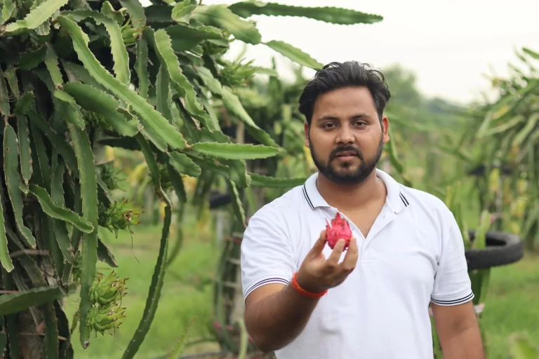 కంప్యూటర్ సైన్స్ గ్రాడ్యుయేట్ Dragon fruit farming success! సంవత్సరానికి 30 లక్షల ఆదాయం