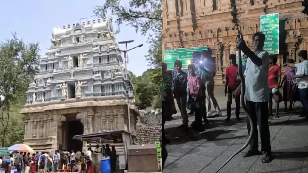 ramuloori temple snake incident ramuloori temple snake incident