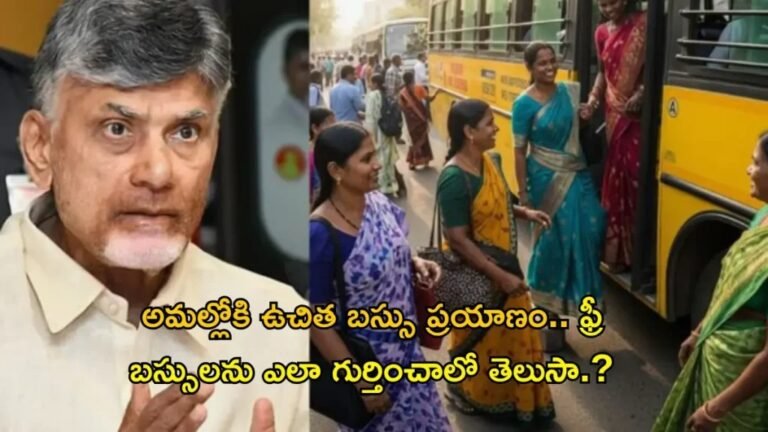 AP Free Bus Scheme 2025: ఉచిత బస్సులను ఎలా గుర్తించాలి & ఆంధ్రప్రదేశ్‌లో మహిళలు ఎలా ప్రయాణించాలి