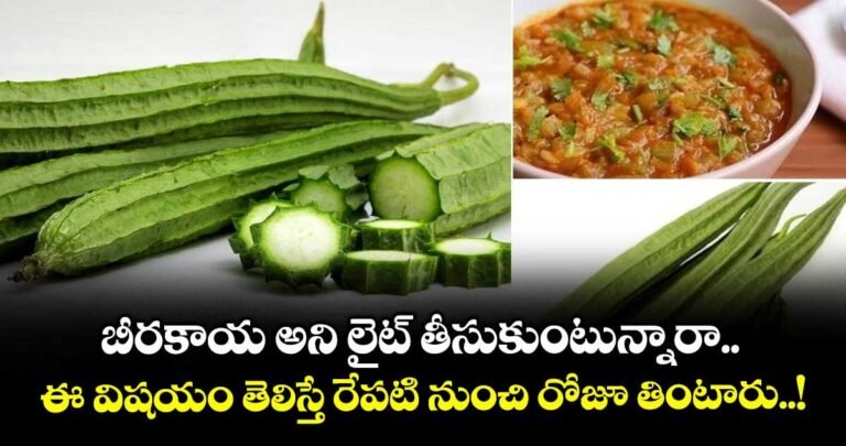 Ridge gourd benefits: బీరకాయ (Ridge Gourd) అని లైట్ తీసుకుంటున్నారా? ఈ విషయం తెలిస్తే రేపటి నుంచి రోజూ తింటారు!